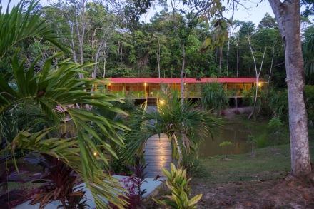 Guest House throughout the trees