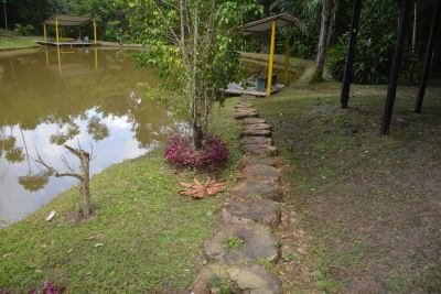 Swimming pond at Hummingbird Center