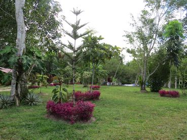 Hummingbird Center grounds