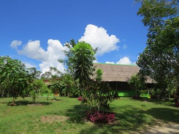 Hummingbird Center grounds